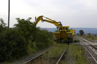 Ber&auml;umen am B&Uuml; Quarmbach - 9,9/70,8 KB