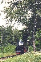 99&nbsp;6001-4 - 16,0/125 KB