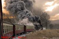 Der Sonderzug mit Lok 99&nbsp;7235 zwischen Bahnhof Gernrode und Haltepunkt Osterteich