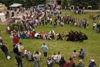 Gro&szlig;es Osterhasentauziehen