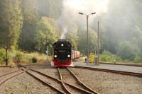 Rangieren des Sonderzuges im Bahnhof Eisfelder Talm�hle bei der R�ckfahrt nach Gernrode