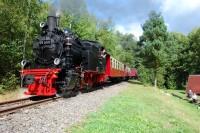 Sonderzug mit Lok 99&nbsp;6101 im Waldhof Silberh&uuml;tte