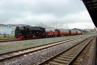 Ankunft des von Lok 99&nbsp;7238 gezogenen Zuges aus Harzgerode mit den G&auml;sten im Bf&nbsp;Quedlinburg