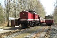 Zugbegegnung zwischen Sonderzug mit Triebwagen&nbsp;187&nbsp;012 und Planzug 8916 mit Lok 199&nbsp;874 im Bf&nbsp;Sternhaus&nbsp;Ramberg