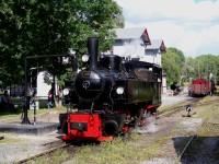 Gastlok Lok Nr. 105 (Museumsbahn Blony &ndash; Champy / Schweiz) beim Wassernehmen im Bahnhof Hasselfelde (12.08.2012)