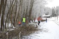 Aufstapeln des Baumschnitts neben Gleis&nbsp;3 (2) 