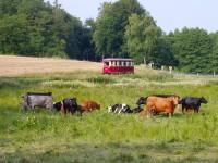 Fotohalt an den Wiesen beim Haltepunkt Sternhaus&nbsp;Haferfeld