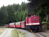 Sonderzug mit Lok&nbsp;199&nbsp;874 beim Fotohalt hinter Sorge (3)