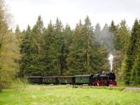 Sonderzug mit Lok&nbsp;99&nbsp;236 bei der Zug&shy;lauf&shy;stelle (Zlst) Allerbach (ehemalige Holzverladestelle) (1)