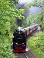 Kreuzung des Sonderzuges Nordhausen Nord &ndash; Wernigerode im Bf Steinerne&nbsp;Renne mit dem Planzug 8939 und Lok&nbsp;99&nbsp;7239 (2)