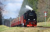 Sonderzug Wernigerode &ndash; Hasselfelde mit Lok&nbsp;99&nbsp;7234 zwischen Benneckenstein und Eisfelder Talm&uuml;hle (18.04.2015)