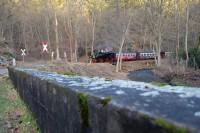 Sonderzug bei Alexisbad (Kloterm&uuml;hle)