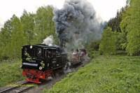 Sonderzug mit Lok 99 6102 11,36/98,66&nbsp;KB