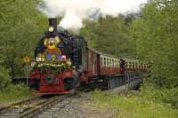 Teddyb&auml;rzug 11,81/106,48&nbsp;KB